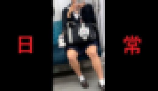 日本の車窓から【本日の混み具合】EP１９