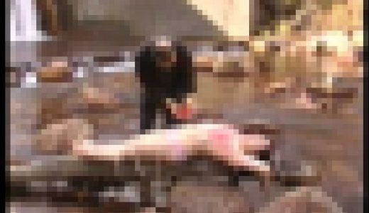 完全会員制人妻Ｍ専科過激飼育　６　Part 1
