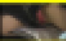 5033／「偽装撮り・キャンちゃん私家盤コレクション（45）」