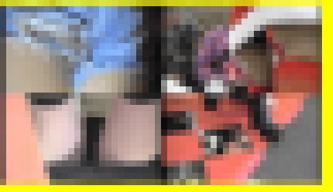 6054／「探り撮り・キャンちゃんがくれた秘境大冒険（193）～チラ篇」