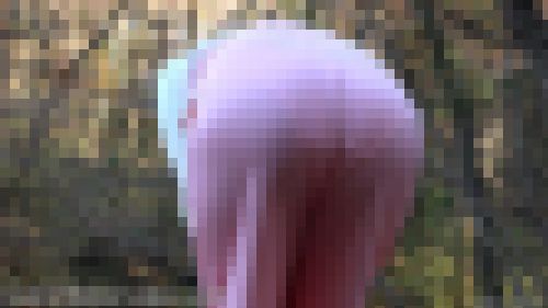 女性の透け下着フェチ　薄い服から透けるパンツの線が好きf858
