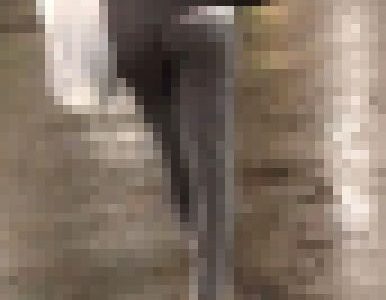 雨の薄布エロ尻美女