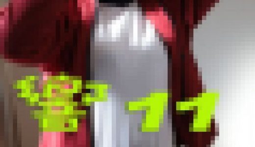 オリジナル画像集　響 11 （新作）