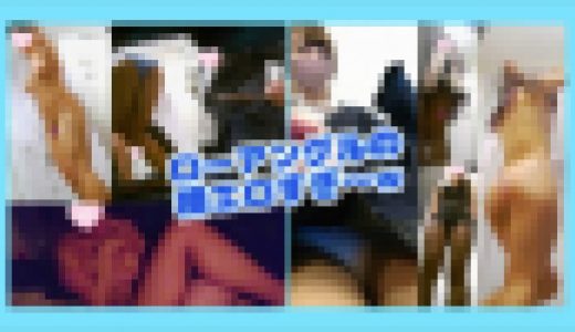 【おまとめ】人生で五本の指に入る超美○女ほぼジェイ系の脱衣場の○き♥高身長健康肌のアスリートお椀型オッパイJD1の脱