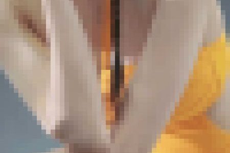 (※02/19(月)まで限定公開) キャンギャル動画2117