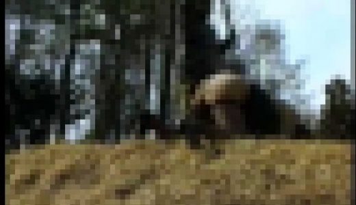 【記録映像】淫乱浮気妻拘束仕置き責め　Part 1