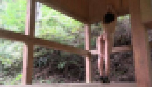 野外記念ヌード　山の小屋で全裸になって立ちバック