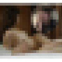 【貧乳美尻美女】JDのアナル丸見え生ハメ動画　詰め合わせセット