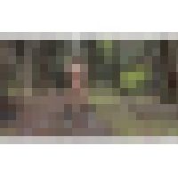 自然の中でオナニー 林に囲まれて自慰行為をする女