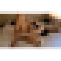 【金髪アパレルギャル】チンポで悲鳴をあげながら喘ぎまくり