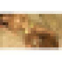 人妻レズビアン 浮気相手は知り合いの奥さん！File.5