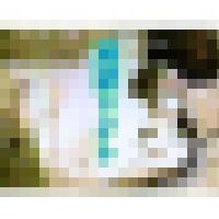 Vol.1 洋式トイレでの脱ぎ履きクネクネもじもじとか他いろいろ