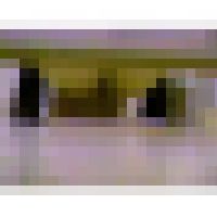 特別編集。素人５人セット。綺麗な和式トイレでの大小コミコミ