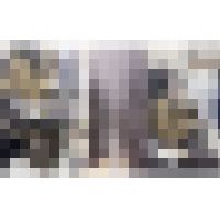 梟の痴〇報告113（帰宅ラッシュの湘〇新〇ラインで新入生に洗礼！生マン）