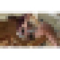 団地妻のいけない昼下がり！File.2