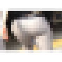 エロすぎる爆尻ＯＬ