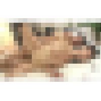 極太チンポの猛烈刺激に身震いするほどイキまくる奥様の膣内に、どっぷり生臭い精子を大量に注ぎ込む中出しセックス　Part 3