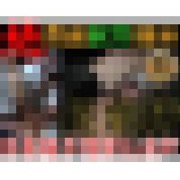 [完全期間限定/鬼窃挿]伝説の白マスク美女よ永遠に。
